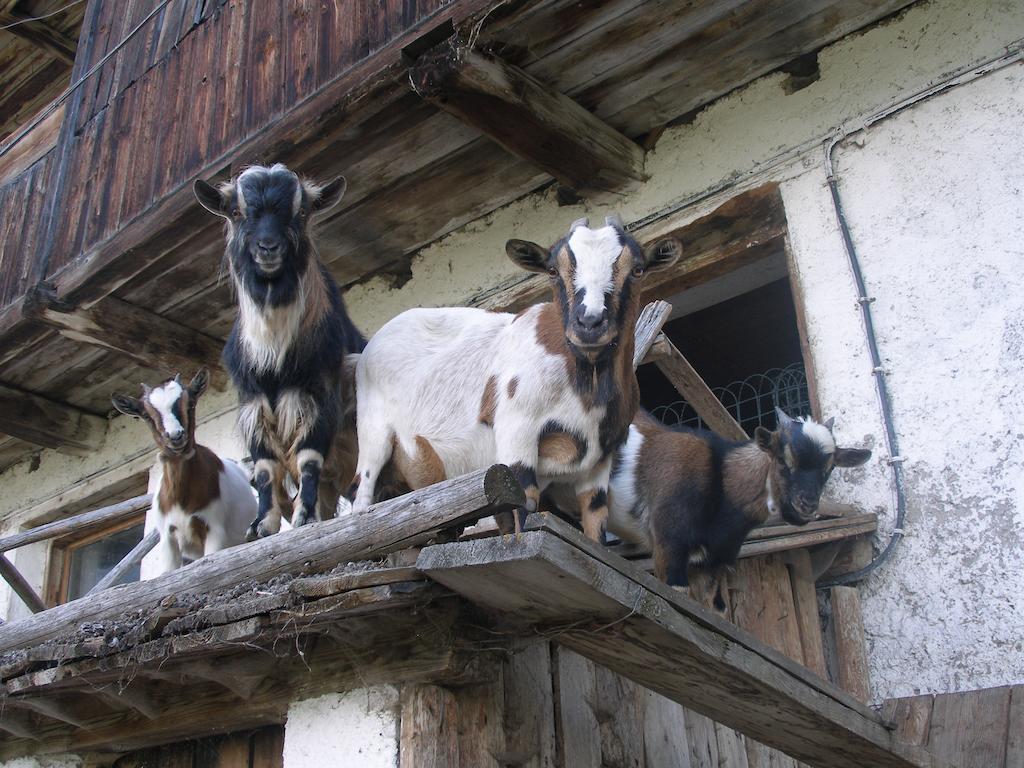 Oberschoellberghof Lutago Luaran gambar
